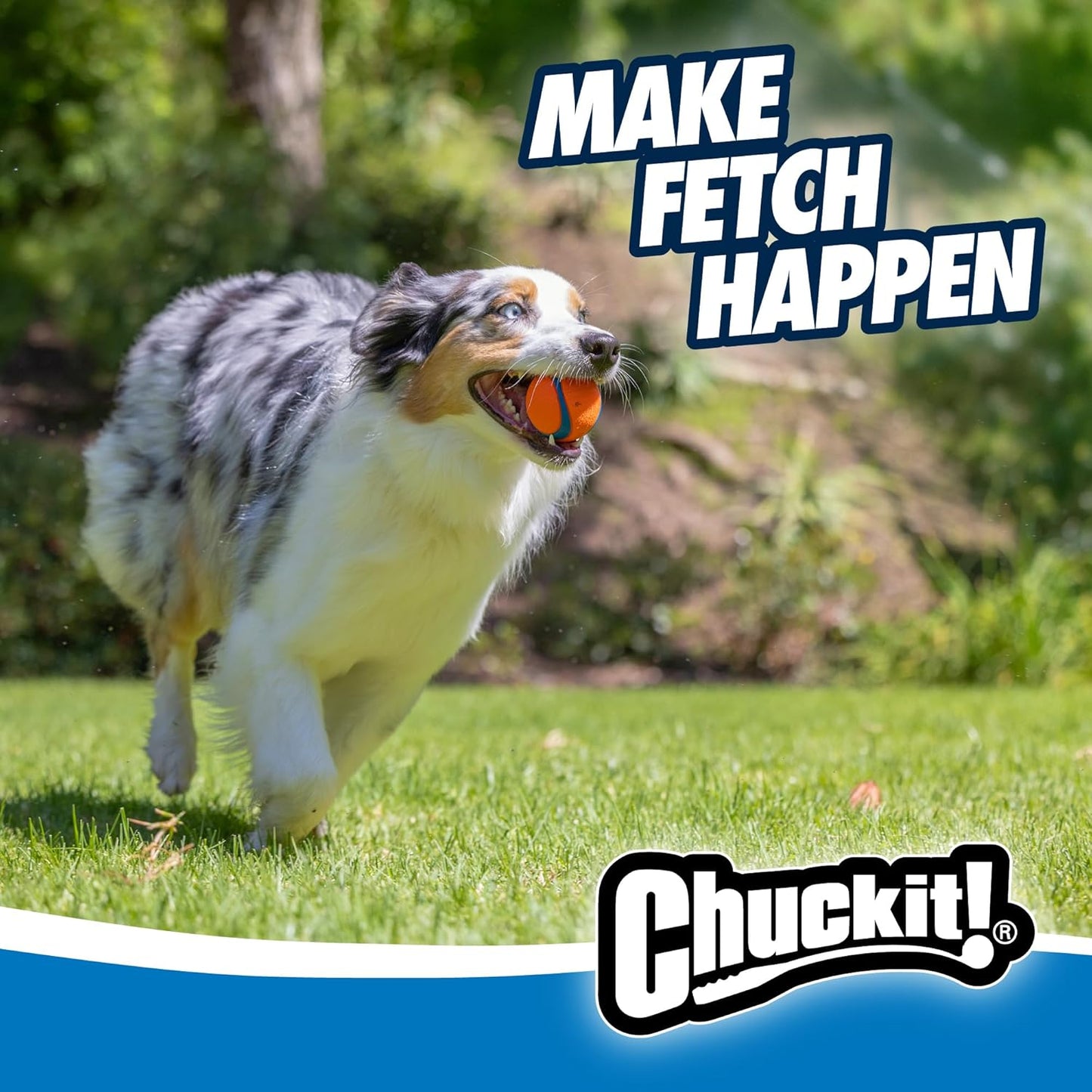 ChuckIt! Ultra Ball Dog Toy – Durable High-Bounce Rubber Balls for Dogs, Floating & Chew-Resistant, 2-Pack Medium