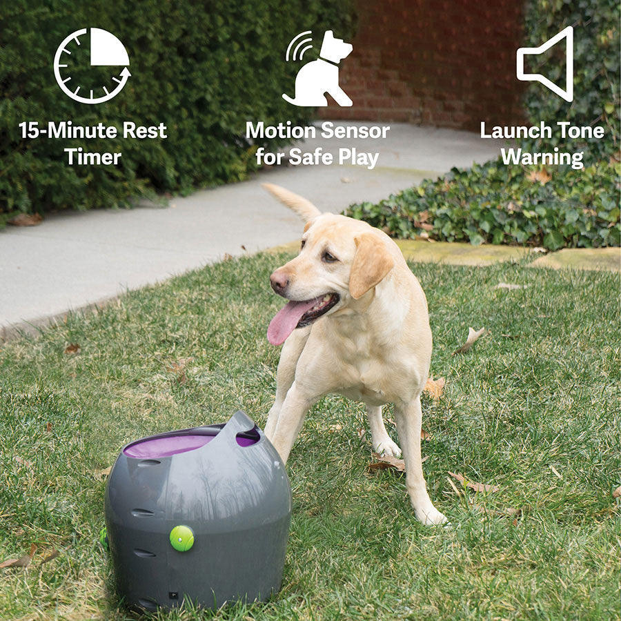 PetSafe Automatic Dog Ball Launcher – Tennis Ball Thrower with Adjustable Distance for Indoor & Outdoor Play