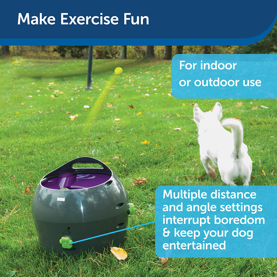 PetSafe Automatic Dog Ball Launcher – Tennis Ball Thrower with Adjustable Distance for Indoor & Outdoor Play