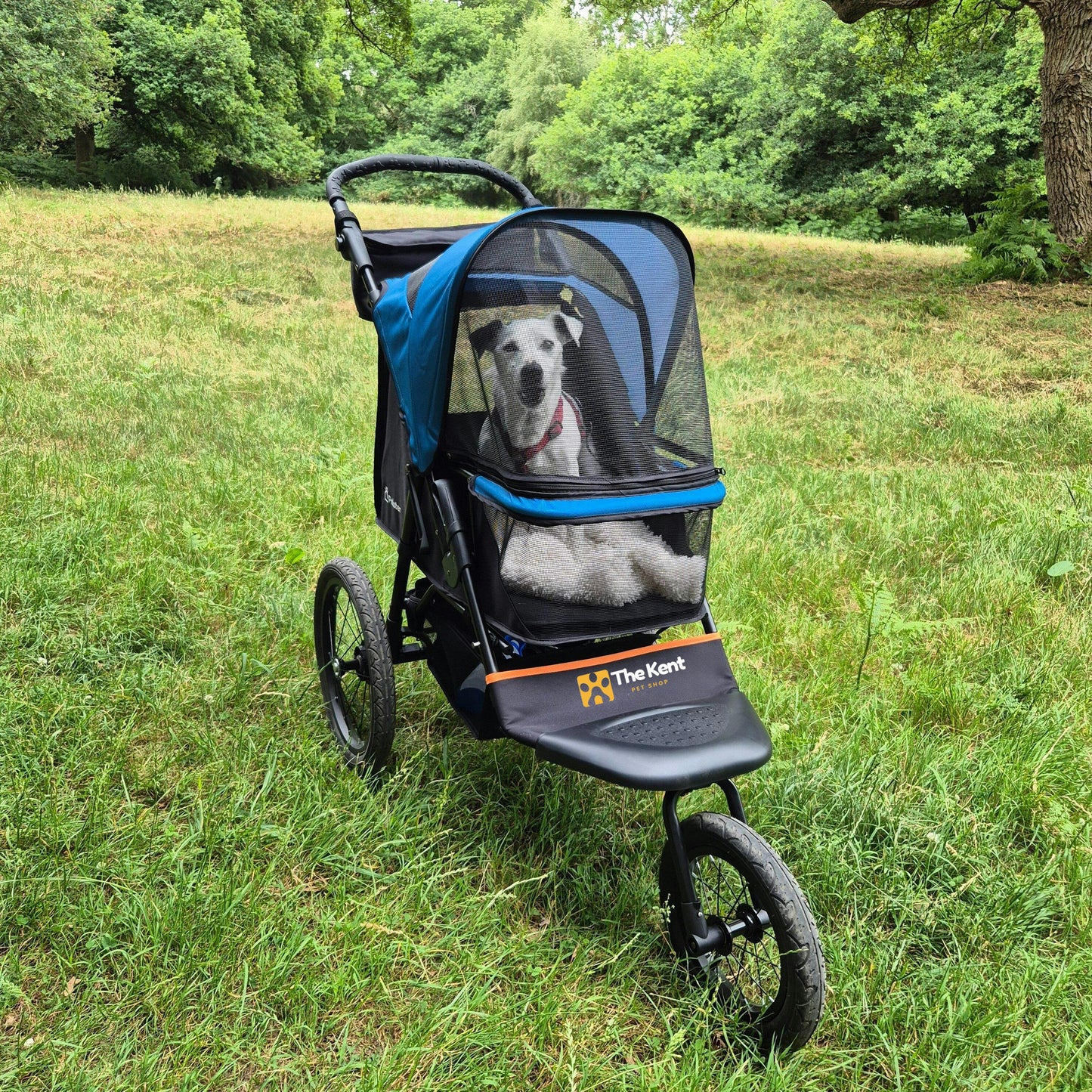 Palster Explorer Dog Stroller – Foldable All-Terrain Pet Buggy with Suspension, Lightweight Design (Black & Harbour Blue)