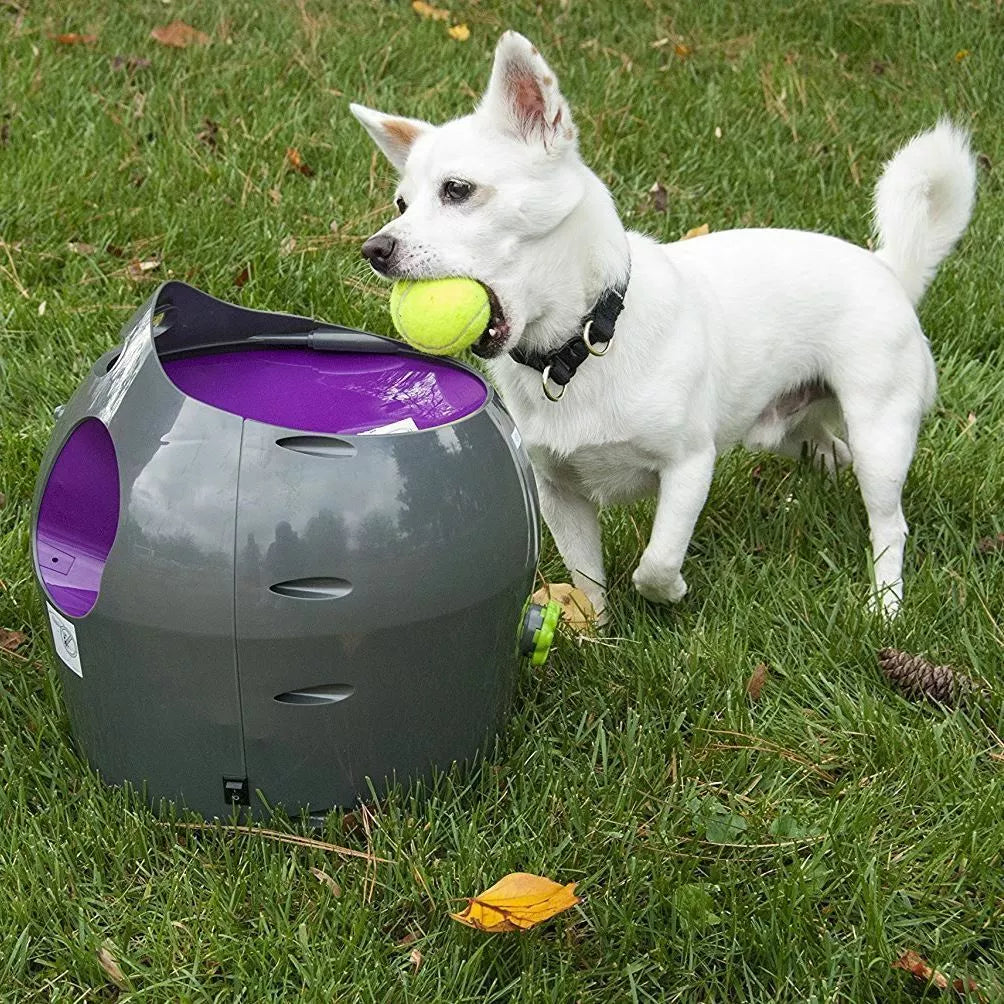 PetSafe Automatic Dog Ball Launcher – Tennis Ball Thrower with Adjustable Distance for Indoor & Outdoor Play